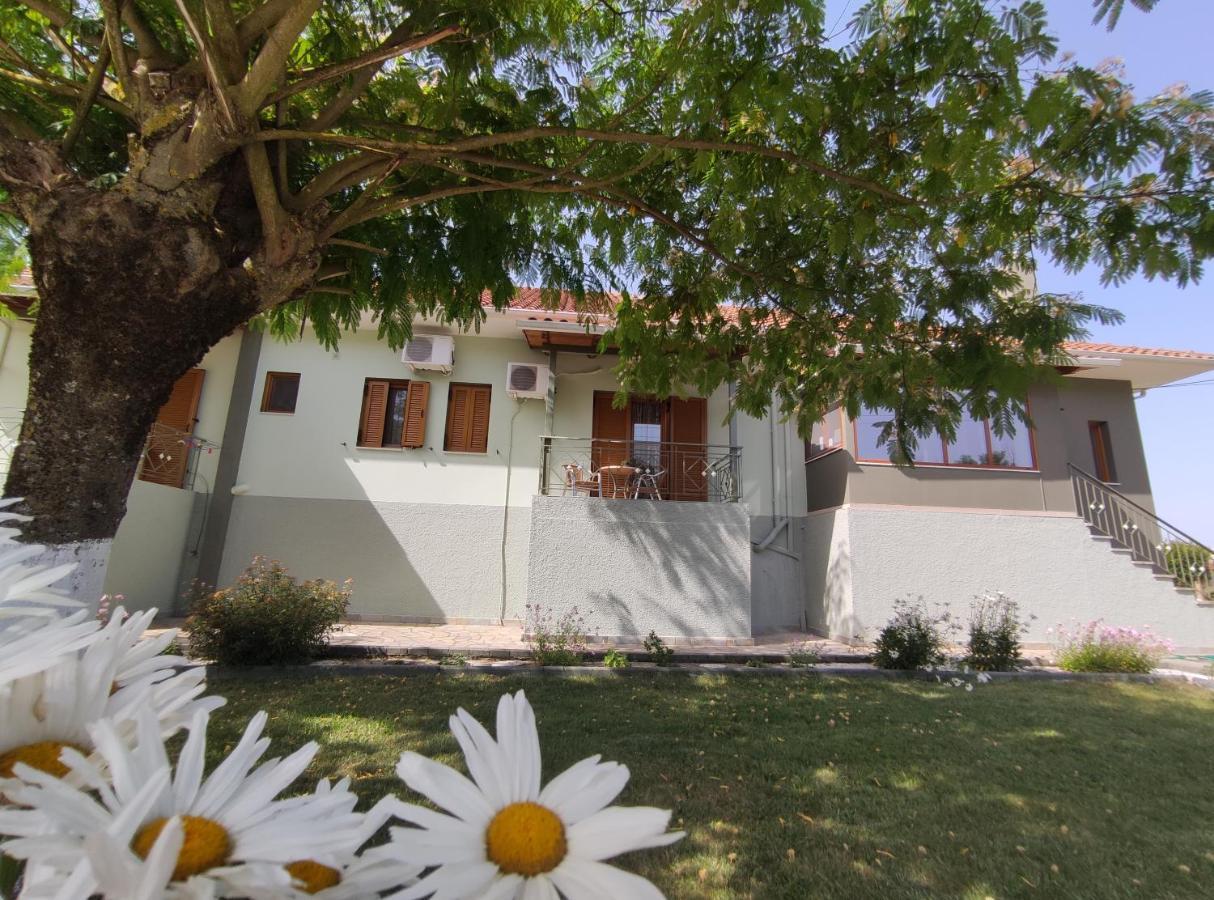 Zisis Garden Studios Ioannina Exterior foto