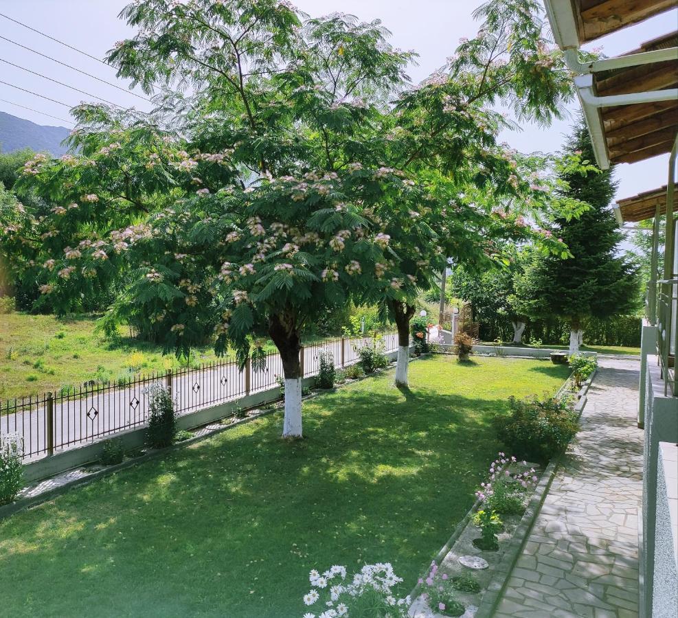 Zisis Garden Studios Ioannina Exterior foto