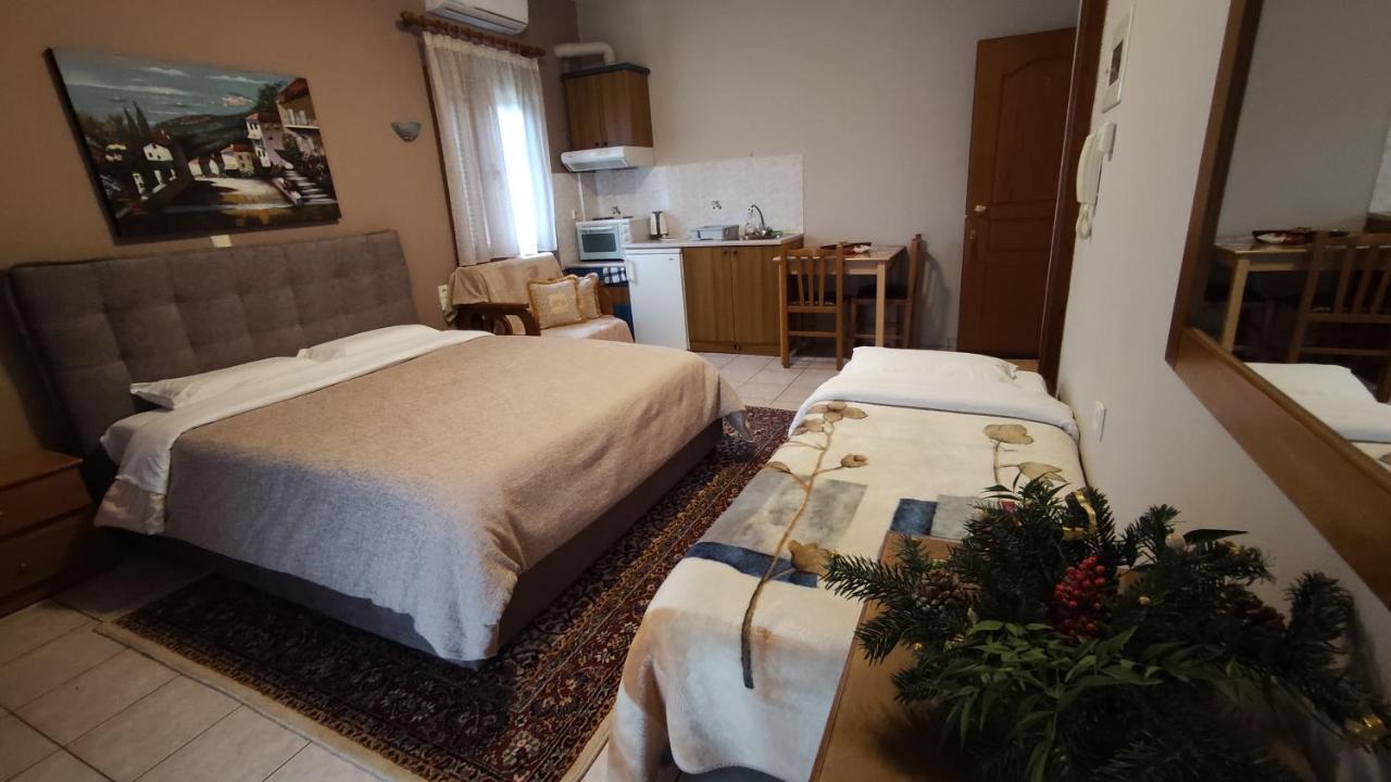 Zisis Garden Studios Ioannina Exterior foto