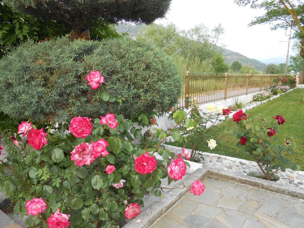 Zisis Garden Studios Ioannina Exterior foto