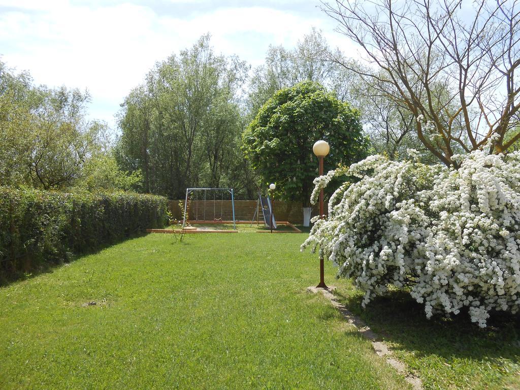 Zisis Garden Studios Ioannina Exterior foto