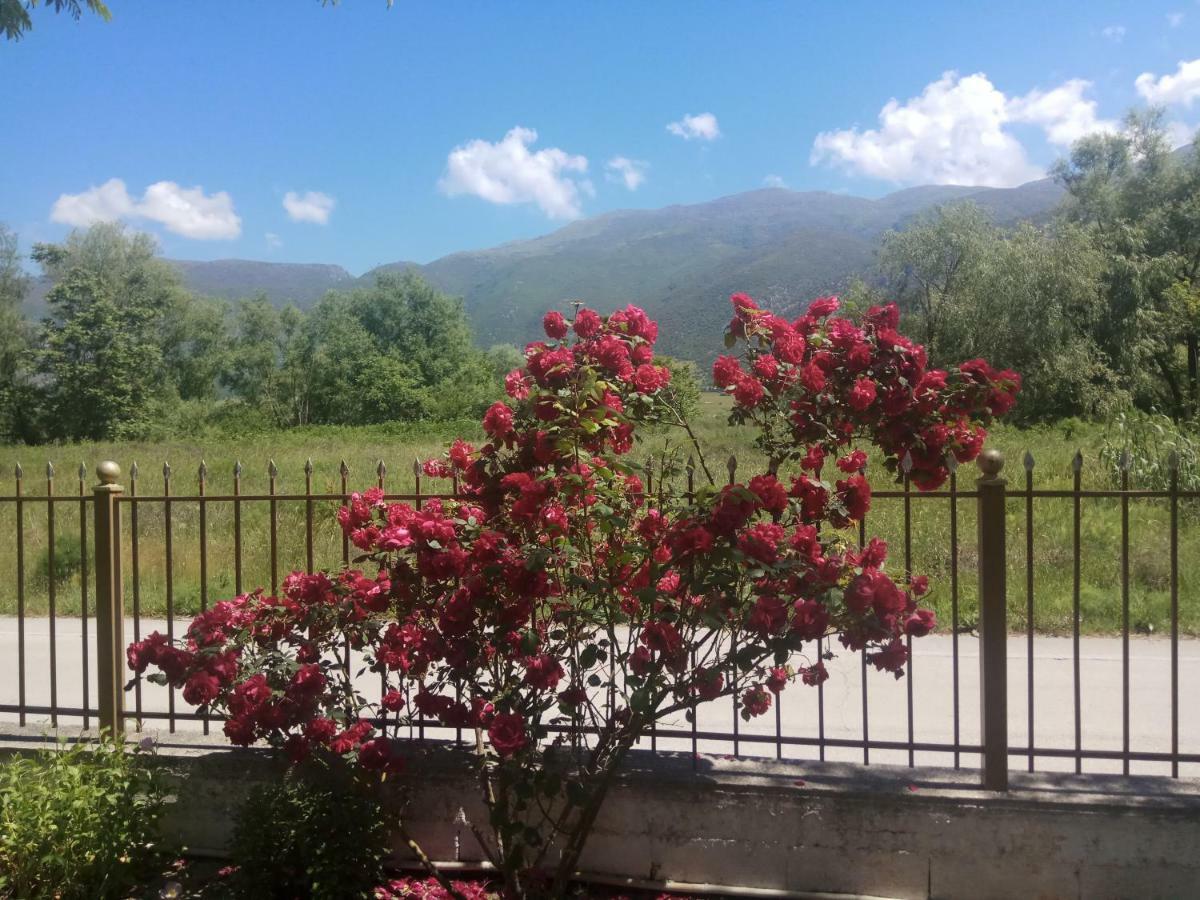 Zisis Garden Studios Ioannina Exterior foto