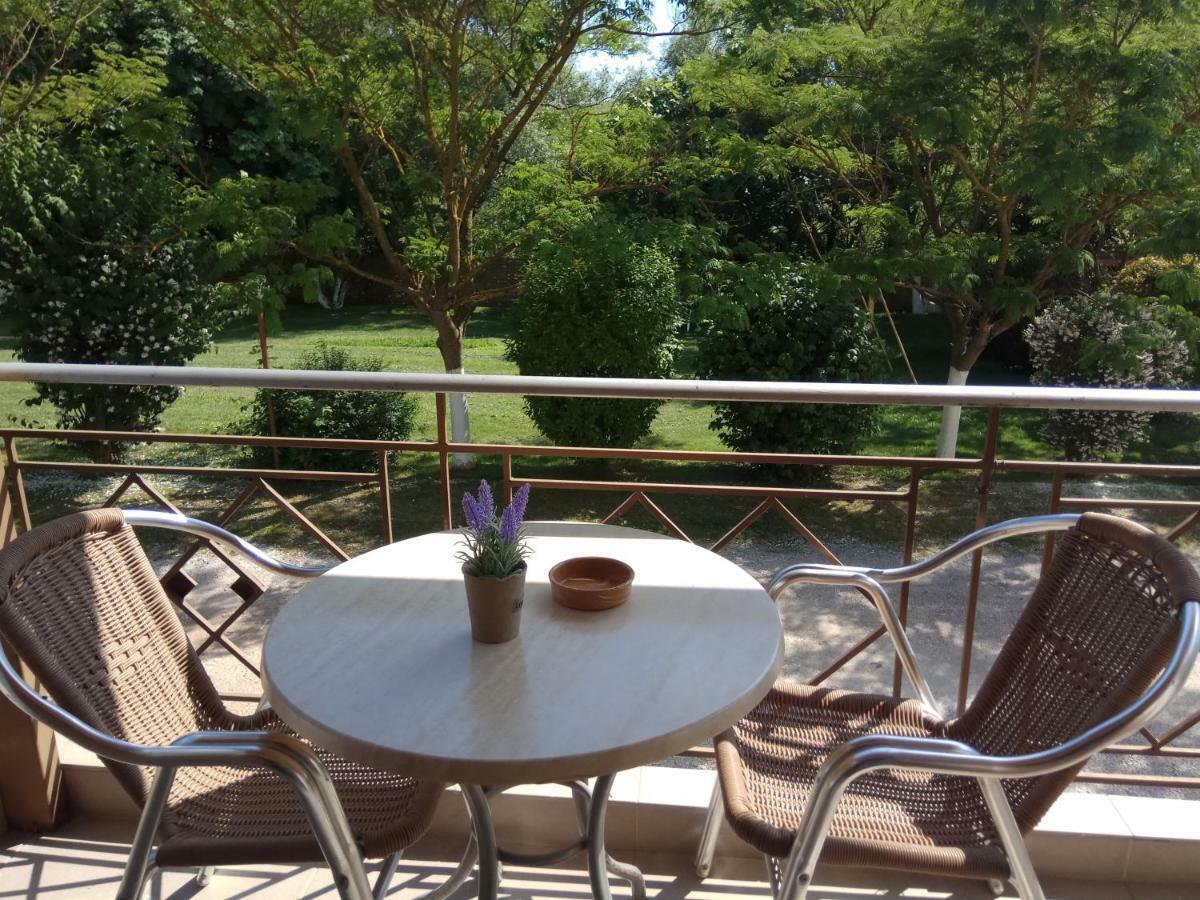 Zisis Garden Studios Ioannina Exterior foto